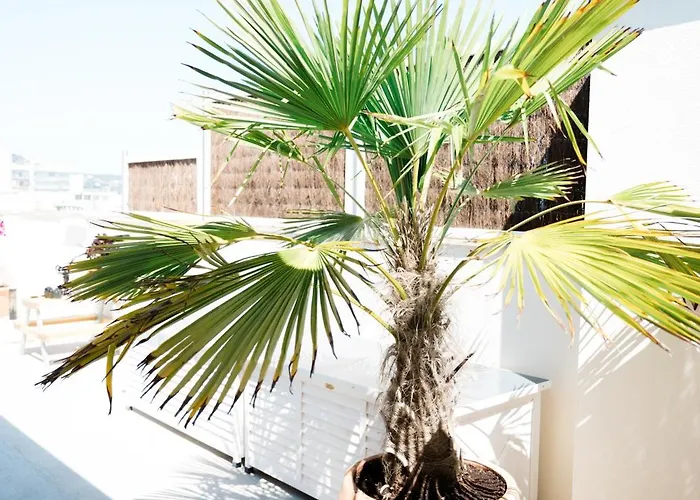 Casa Gallardo Appartement