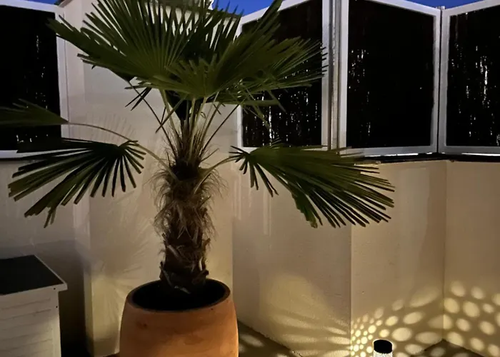 Appartement Casa Gallardo